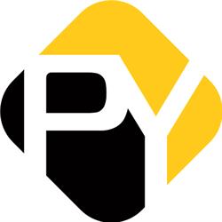 Pico Yellow - SEO, GEO, AI SEO, SEA, Website laten maken