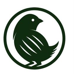 Club Birdies