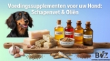 Hondenvoer en benodigdheden in één poot