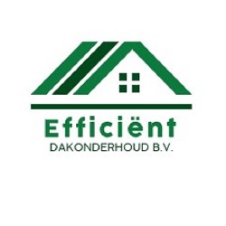 Efficiënt Dakonderhoud