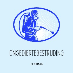 Den Haag Ongediertebestrijding