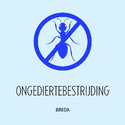 Breda Ongediertebestrijding