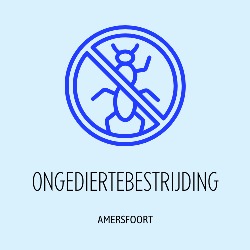 Amersfoort Ongediertebestrijding