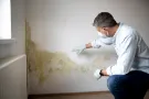Inspectie optrekkend vocht