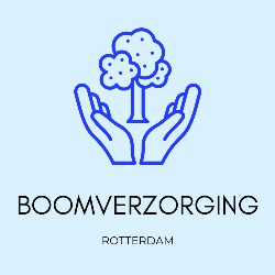 Rotterdam Boomverzorging
