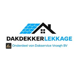 Dakdekker Lekkage